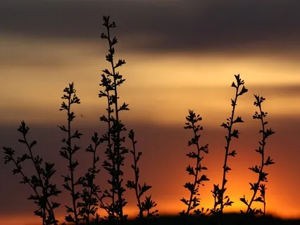 April Masterclass Day 1: Science of Stillness