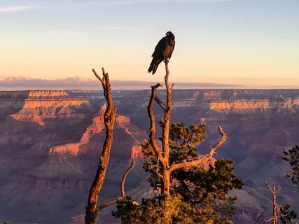 April Masterclass Day 2: Science of Stillness