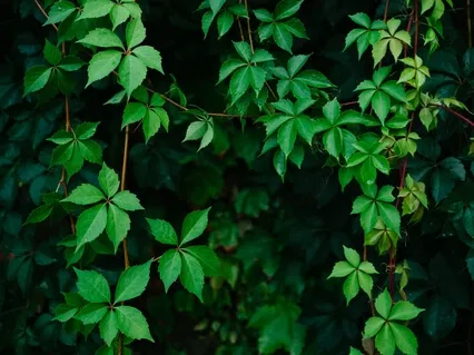 April Masterclass Day 3: Science of Stillness