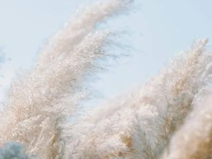 April Tao Energy - Wind