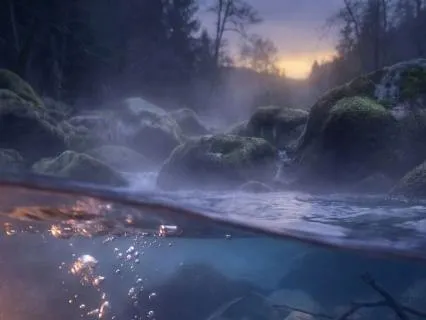 Aquarium Bubbles for Calm and Focus