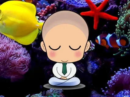 Aquarium Meditation For Infants