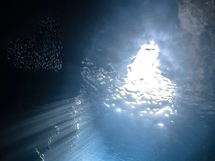 Aquatic Tales Pt.1 - Music To Dwell In The Formless