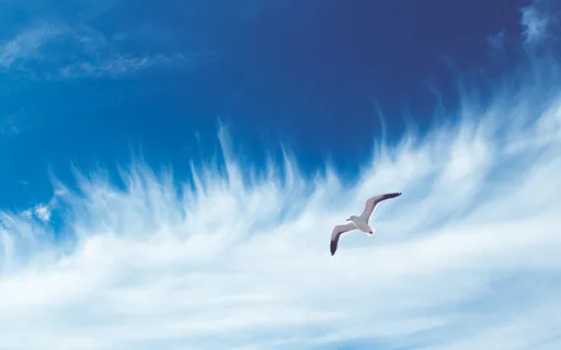 Ar (Gama 45Hz) - Retorno ao Estado Natural