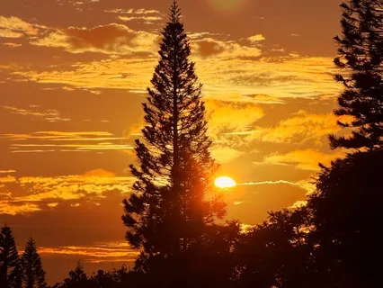 Aramaic Interpretation Of The Lord's Prayer