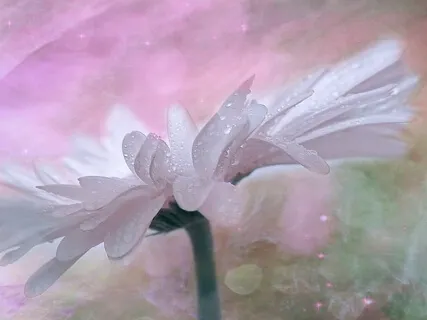 Aramaic Lord's Prayer