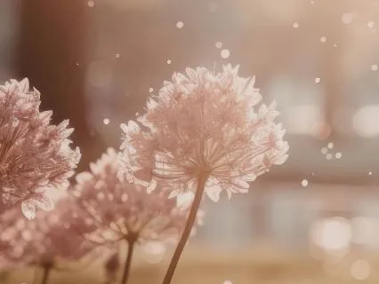 Archangel Ariel: Align With Abundance & Manifestation