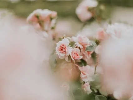 Archangel Barachiel Delivers Blessings, Spiritual Backup & Sweetness Of The Divine