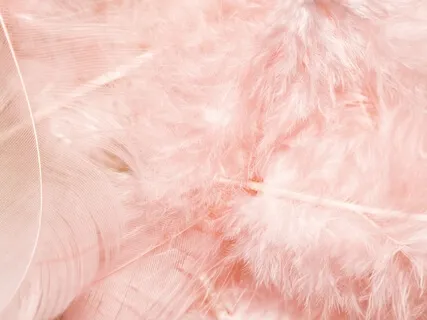 ArchAngel Healing And Cleansing