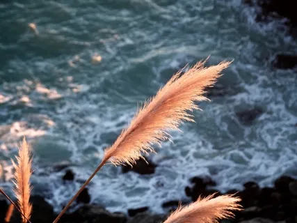 Connect With Archangel Jophiel