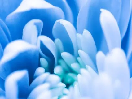 Archangel Michael Clears Your Aura & Your Home