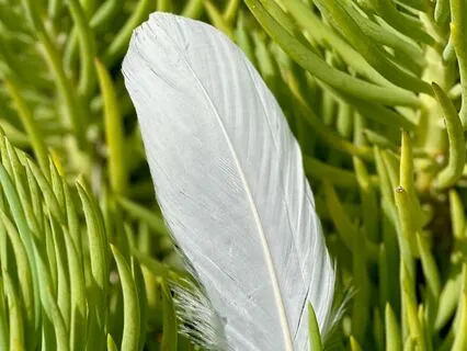 Archangel Raphael Contemplative Healing Meditation