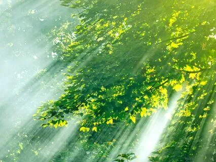 Archangel Raphael Deep Healing Meditation