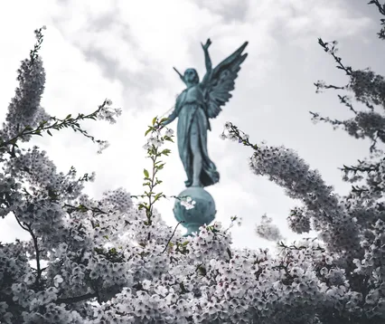 Connect With Archangel Raphael