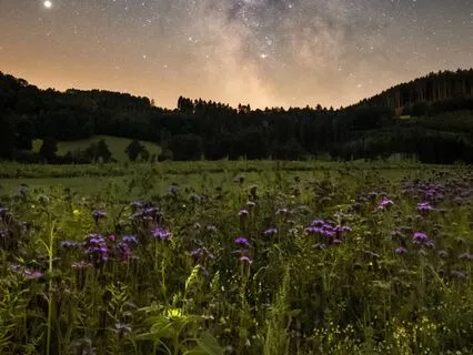 Archangel Uriel: Ascension Earth