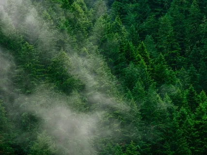 Archangels & The Elements: Uriel 