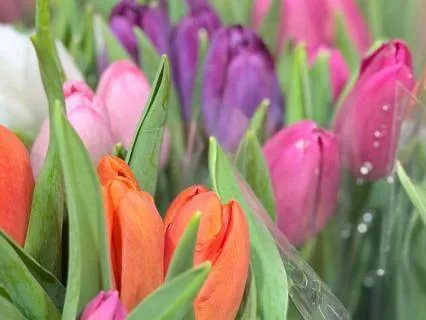 Archetypes Introduction - A Radio Discussion