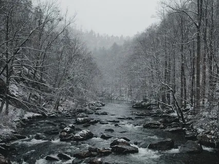 "Arctica" Tranquil Piano Music With Nature Sounds