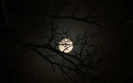 Arcturian Dreamy Night 432Hz