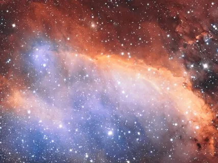 Arcturian Entity Extraction Protocol (AEE)