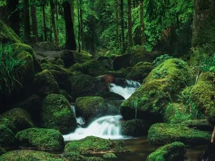 Arcturian Meditation: Emerald Guardians Of The Avalon Portal