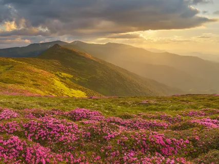 Arcturian Metatron Lifestyle Spa Rejuvenating & Longevity Frequency