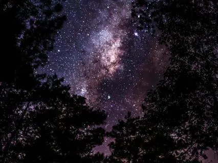 Arcturian Starseed Yoga Nidra | The Sacred Architects