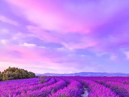 Arcturian Super Bliss Frequency With Affirmations / 741 Hz