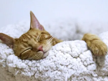 Are You A Clutterer - Impact Of Clutter (Live Recording)