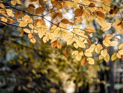 Are You A Victim, Rescuer Or Persecutor? Breaking Free From A Drama Triangle