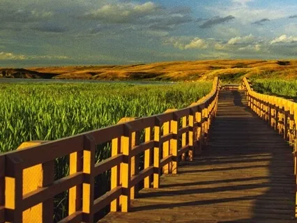 Are You Experiencing A Spiritual Awakening?