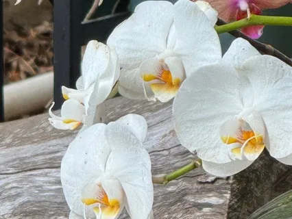 Are You Living Your Life Purpose