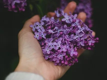 Are You Living Your Life?