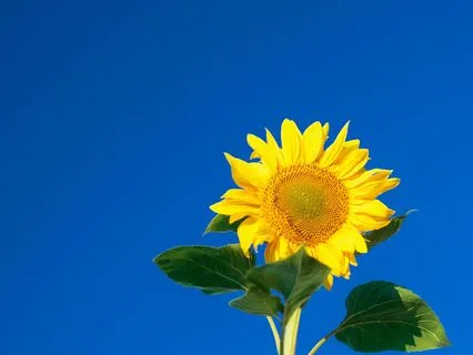 Are You Manifesting The Right Way?