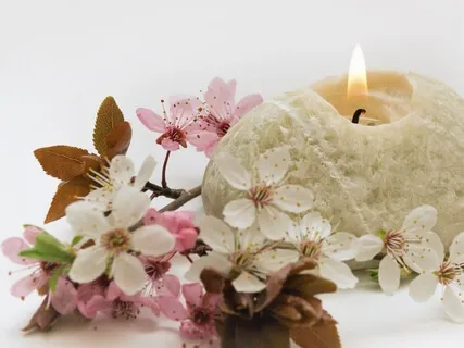 Are You OK? Adored Or Criticised