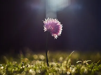 Are You Playing Offense Or Defense?