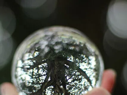 Are You Ready To Look Forward?