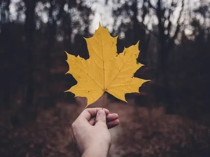 Are You Ready To Step Into Change?