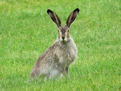 Are You Rejecting Your Negative Emotions?