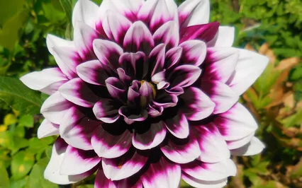 Are You Struggling With Daily Life And Spirituality, Listen 