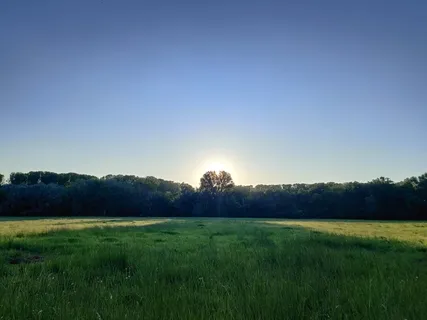 Zen Experience Relaxation