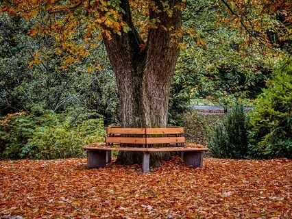 Are You Taking The Time To Stop?