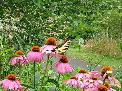 Are You There, Goddess?