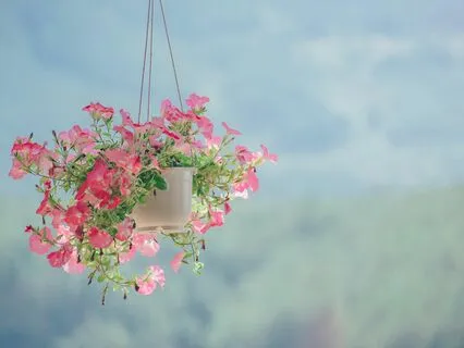 Are You Too Hard On Yourself? A Self-Compassion Meditation