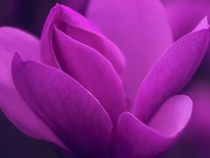 Are You Your Body? Are You Your Mind? Think Again!