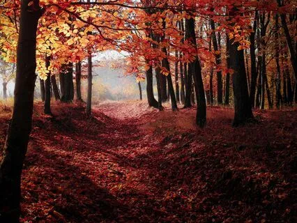 Ariel, Grounding & Protection, Code 444