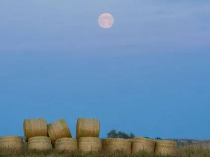Aries Full Harvest Moon Practice · September 2026