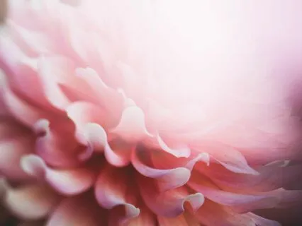 Aries Pink New Moon Eclipse