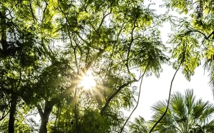 Aries Solar Eclipse Energetic Alignment