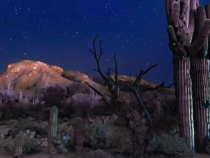 Arizona Night Chills